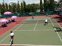 DSC00533
